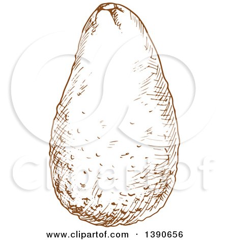 Clipart of a Brown Sketched Avocado - Royalty Free Vector Illustration by Vector Tradition SM