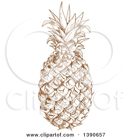 Clipart of a Brown Sketched Pineapple - Royalty Free Vector Illustration by Vector Tradition SM
