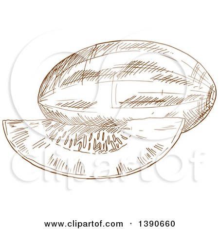 Clipart of a Brown Sketched Melon - Royalty Free Vector Illustration by Vector Tradition SM