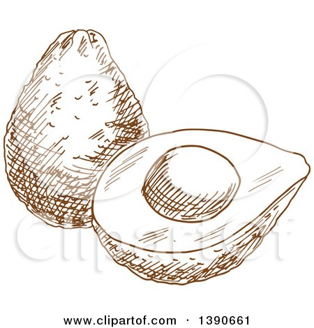 Clipart of a Brown Sketched Avocado - Royalty Free Vector Illustration by Vector Tradition SM