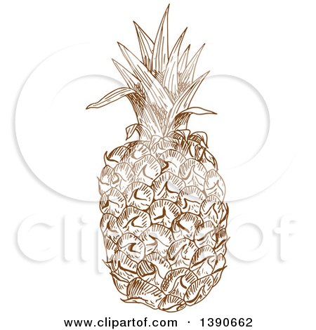 Clipart of a Brown Sketched Pineapple - Royalty Free Vector Illustration by Vector Tradition SM