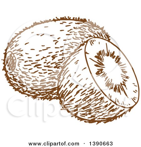 Clipart of a Brown Sketched Kiwi Fruit - Royalty Free Vector Illustration by Vector Tradition SM