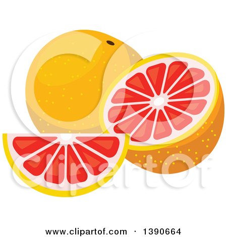 Clipart of Grapefruits - Royalty Free Vector Illustration by Vector Tradition SM