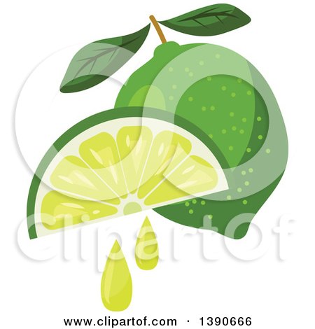 Clipart of a Lime and Juicy Wedge - Royalty Free Vector Illustration by Vector Tradition SM