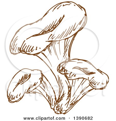 Clipart of Brown Sketched Chanterelle Mushrooms - Royalty Free Vector Illustration by Vector Tradition SM