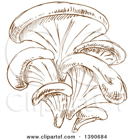 Clipart of Brown Sketched Oyster Mushrooms - Royalty Free Vector Illustration by Vector Tradition SM