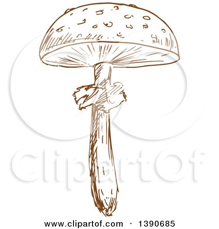 Clipart of a Brown Sketched Mushroom - Royalty Free Vector Illustration by Vector Tradition SM