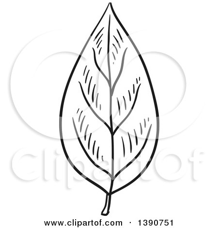 Clipart of a Sketched Dark Gray Leaf - Royalty Free Vector Illustration by Vector Tradition SM