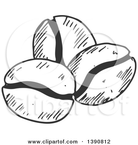 Clipart of Gray Sketched Coffee Beans - Royalty Free Vector Illustration by Vector Tradition SM