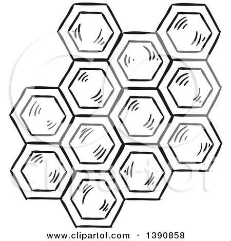 Clipart of Black and White Sketched Honey Combs - Royalty Free Vector Illustration by Vector Tradition SM