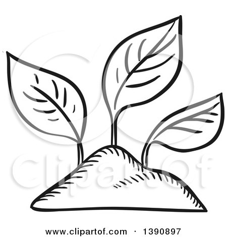 Clipart of Sketched Dark Gray Seedlings - Royalty Free Vector Illustration by Vector Tradition SM