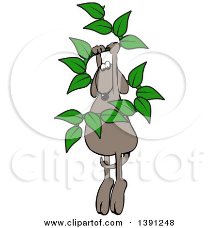 Clipart of a Cartoon Brown Dog Hanging from a Leafy Vine - Royalty Free Vector Illustration by djart