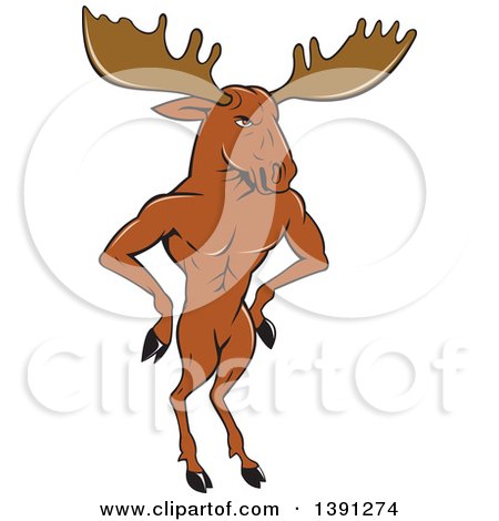 Clipart of a Cartoon Muscular Moose Man Standing Upright with Hands on His Hips - Royalty Free Vector Illustration by patrimonio