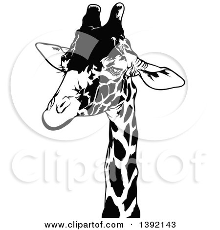 Clipart of a Black and White Giraffe Head - Royalty Free Vector Illustration by dero