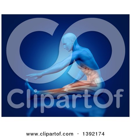 Clipart of a 3d Anatomical Man Stretching and Touching His Toes, with Visible Leg and Abdominal Muscles, on Blue - Royalty Free Illustration by KJ Pargeter