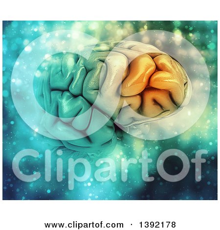 Clipart of a 3d Human Brain with Frontal Lobe Highlighted and Magical Lights - Royalty Free Illustration by KJ Pargeter