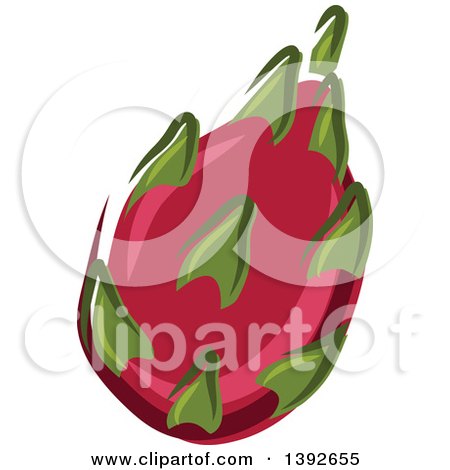 Clipart of a Pitaya Dragon Fruit - Royalty Free Vector Illustration by Vector Tradition SM