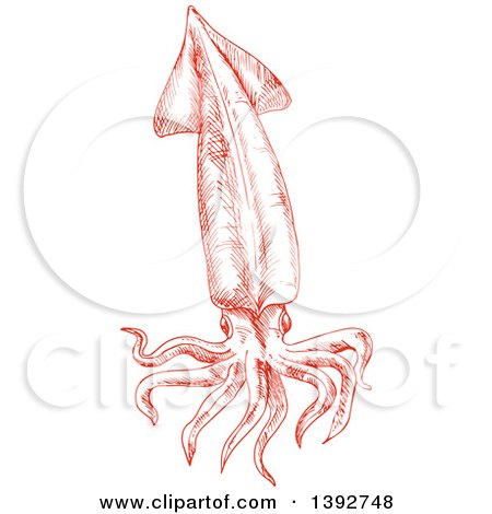 Clipart of a Sketched Red Squid - Royalty Free Vector Illustration by Vector Tradition SM