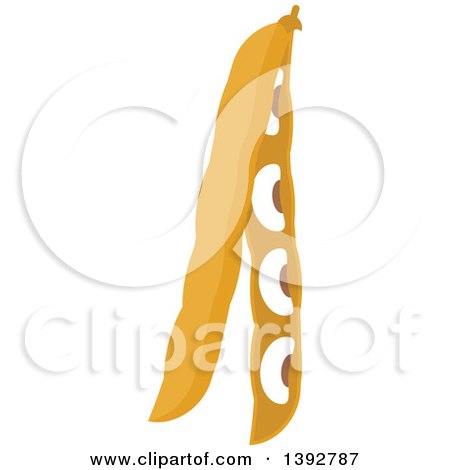 Clipart of Flat Design Bean Pods - Royalty Free Vector Illustration by Vector Tradition SM