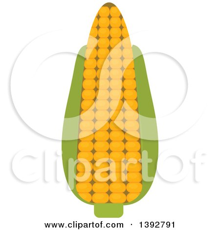 Clipart of a Flat Design Ear of Corn - Royalty Free Vector Illustration by Vector Tradition SM