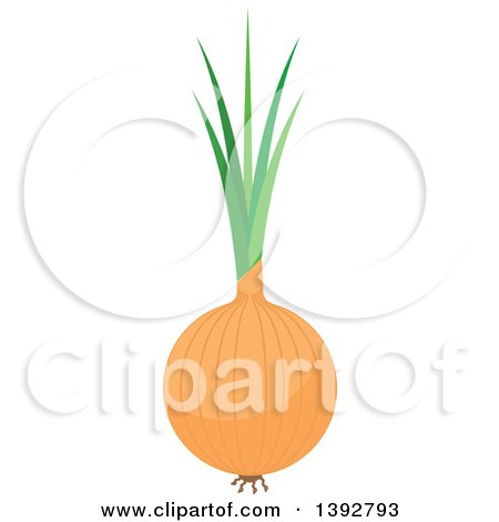 Clipart of a Flat Design Yellow Onion - Royalty Free Vector Illustration by Vector Tradition SM
