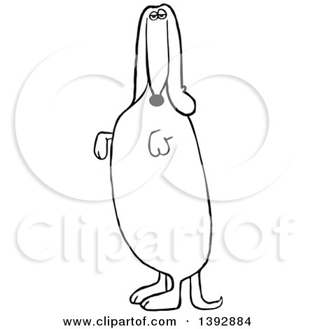 Clipart of a Cartoon Black and White Lineart Dachshund Dog Standing Upright and Begging - Royalty Free Vector Illustration by djart