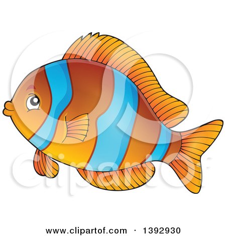 Clipart of a Clownfish Marine Fish - Royalty Free Vector Illustration by visekart