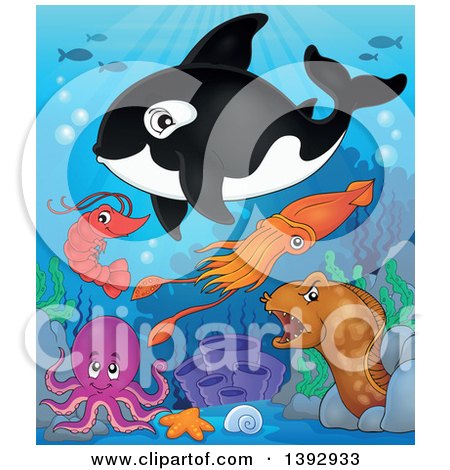 Clipart of a Killer Whale Orca and Sea Creatures - Royalty Free Vector Illustration by visekart