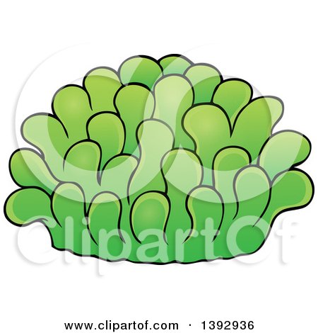 Clipart of a Green Sea Anemone - Royalty Free Vector Illustration by visekart