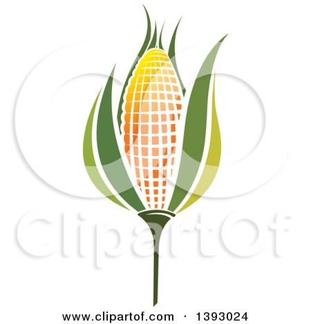 Clipart of a Golden Ear of Corn with Green Husks - Royalty Free Vector Illustration by Lal Perera