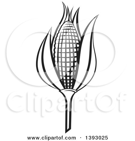 Clipart of a Black and White Ear of Corn - Royalty Free Vector Illustration by Lal Perera