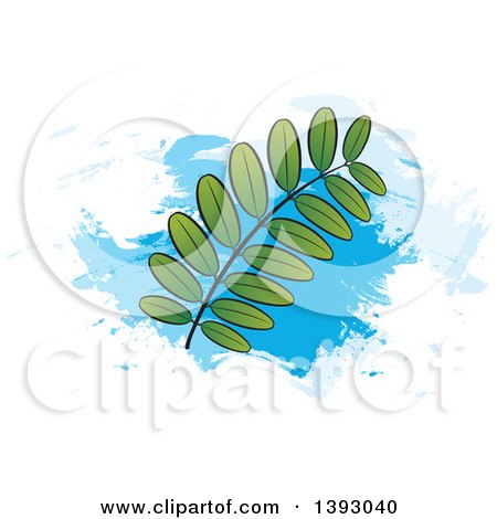 Clipart of a Kathurumurunga Leaf Branch over Blue Paint Strokes - Royalty Free Vector Illustration by Lal Perera