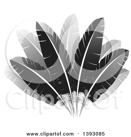Clipart of a Fan of Feathers - Royalty Free Vector Illustration by Lal Perera