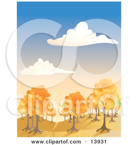Autumn Trees Under a Blue Cloudy Sky Clipart Illustration by Rasmussen Images