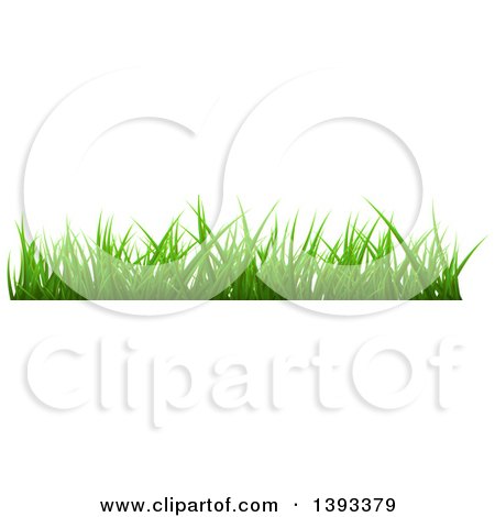 Clipart of a Grass Border - Royalty Free Vector Illustration by vectorace