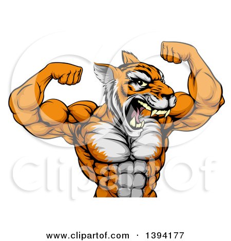 Clipart of a Roaring Tough Tiger Man Flexing His Big Muscles - Royalty Free Vector Illustration by AtStockIllustration
