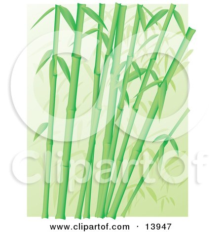 Forest of Green Bamboo Stalks Clipart Illustration by Rasmussen Images
