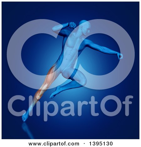 Clipart of a 3d Blue Anatomical Man Fighting and Jumping, with Visible Leg Muscles, on Blue - Royalty Free Illustration by KJ Pargeter