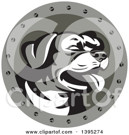 Clipart of a Retro Panting Rottweiler Head in a Circle with Screws - Royalty Free Vector Illustration by patrimonio