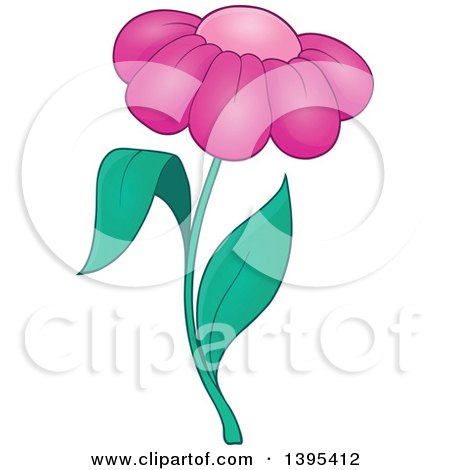 Clipart of a Pink Daisy Flower - Royalty Free Vector Illustration by visekart