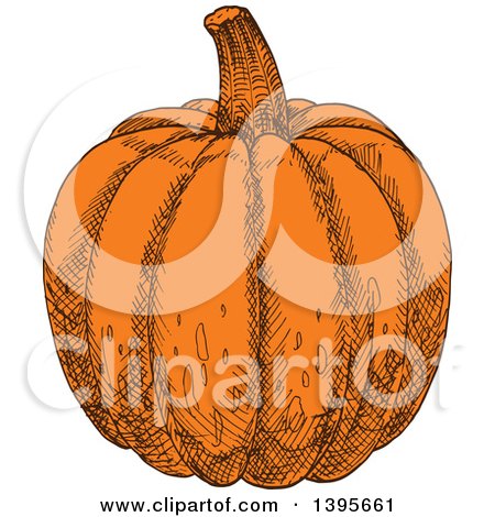 Clipart of a Sketched Pumpkin - Royalty Free Vector Illustration by Vector Tradition SM