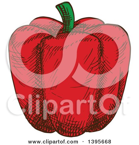 Clipart of a Sketched Red Bell Pepper - Royalty Free Vector Illustration by Vector Tradition SM
