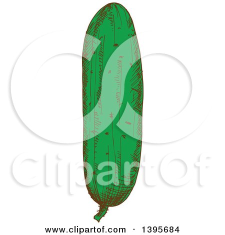 Clipart of a Sketched Cucumber - Royalty Free Vector Illustration by Vector Tradition SM