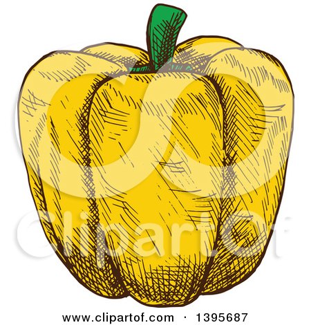 Clipart of a Sketched Yellow Bell Pepper - Royalty Free Vector Illustration by Vector Tradition SM