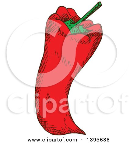 Clipart of a Sketched Paprika Pepper - Royalty Free Vector Illustration by Vector Tradition SM