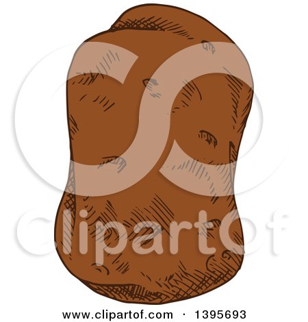 Clipart of a Sketched Potato - Royalty Free Vector Illustration by Vector Tradition SM