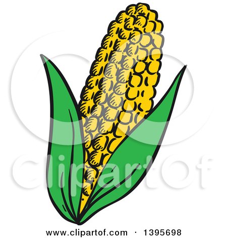 Clipart of a Sketched Corn - Royalty Free Vector Illustration by Vector Tradition SM