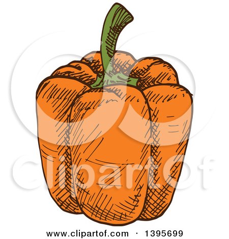 Clipart of a Sketched Orange Bell Pepper - Royalty Free Vector Illustration by Vector Tradition SM