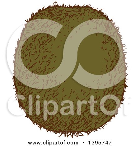 Clipart of a Sketched Kiwi Fruit - Royalty Free Vector Illustration by Vector Tradition SM