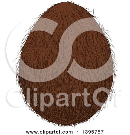Clipart of a Sketched Coconut - Royalty Free Vector Illustration by Vector Tradition SM